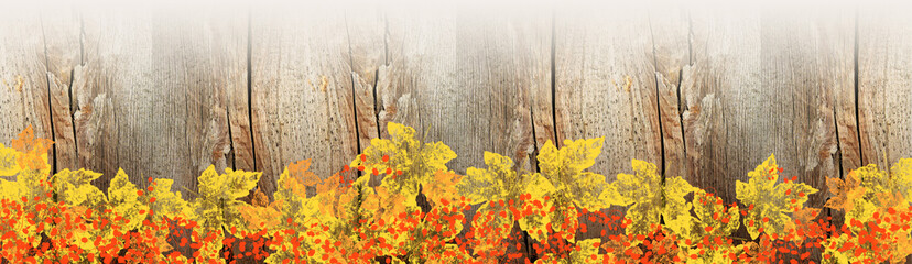 Herbstlicher Panorama Hintergrund mit Verlauf und Holz und buntem Laub des Bergahorns