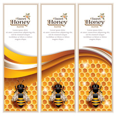 Vector Abstract Honey Banners with Honeycombs, Working Bees and Space for Text