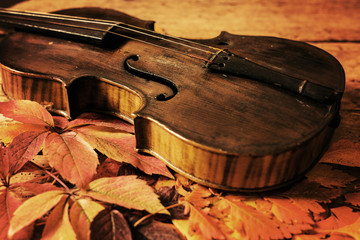 Obraz premium Old violin and autumn leaves over an old rustic wooden table