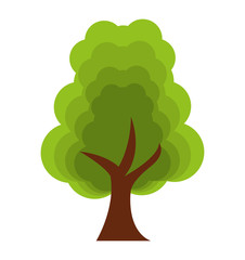 tree plant forest isolated icon vector illustration design