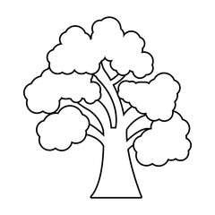 tree plant forest monochrome isolated icon vector illustration design