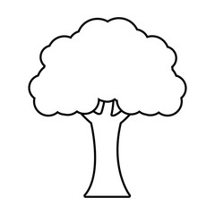 tree plant forest monochrome isolated icon vector illustration design