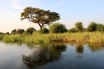 Dusk at the Okavango river, Caprivi Strip Namibia Africa