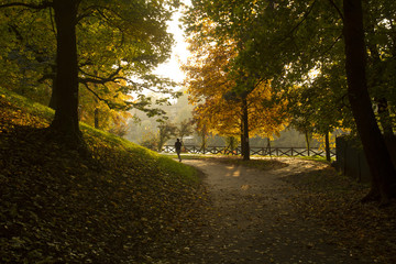 A girl running in a park in Turin Italy