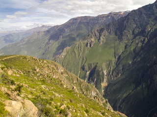 Fototapeta na wymiar Colca canyon, Arequipa, Peru.