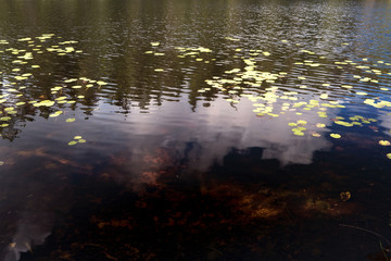 Im Tiveden Nationalpark in Schweden