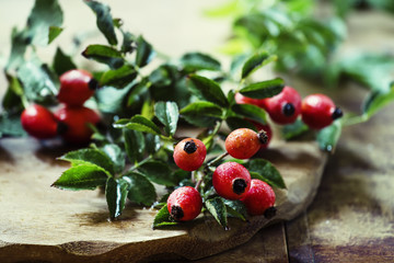 Fresh berries of wild rose, vintage wood background, selective f