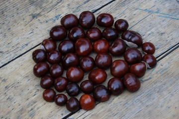 Background of chestnuts