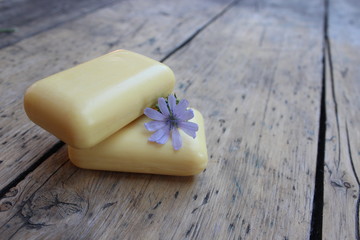Natural soap and flower chicory