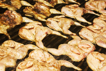 Meat roasted on skewers