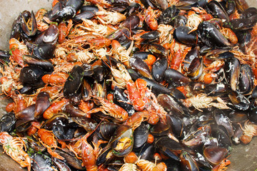 cooked mussels on the plate