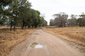 Fall rural dirt road