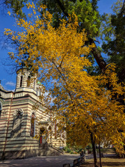 Fototapeta premium Christian Orthodox church with bright yellow leafed tree in the foreground - beautiful autumn image from Sofia, Bulgaria