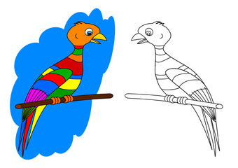 Colorful bird on a perch like a coloring book for young children - vector svg