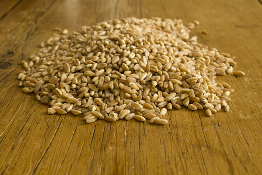 farro