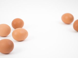 eggs on white background