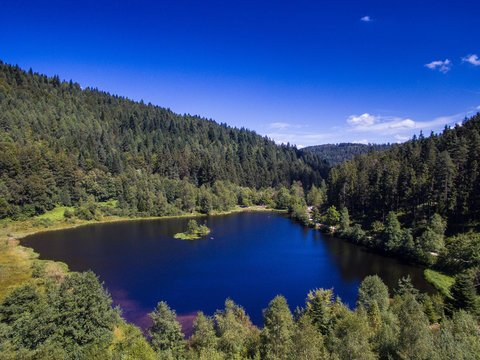 Sankenbachsee - Baiersbronn 5