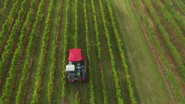 Video von der Weinernte mit Vollernter