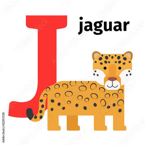"English animals zoo alphabet with letter J. Jaguar vector illustration