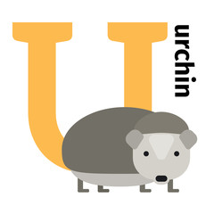 English animals zoo alphabet with letter U. Urchin vector illustration