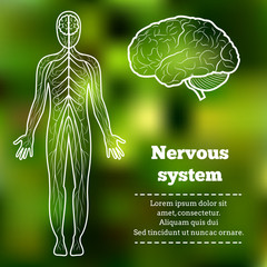 Human Body Neurology Anatomical Conception Vector Illustration