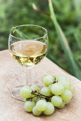 Italian white whine with grapefruit