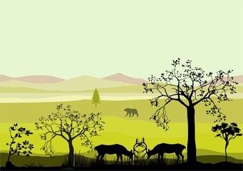 Wildlife forest scene with deers silhouettes, trees and black silhouettes, vector illustration