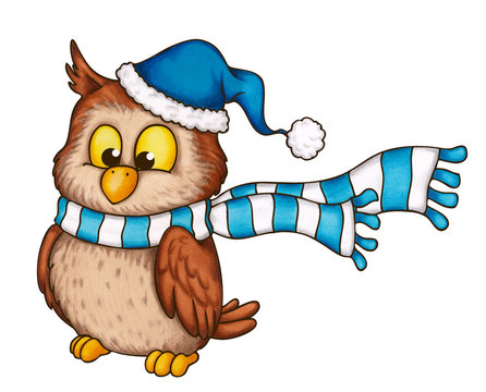 Eule, Vogel, Winter