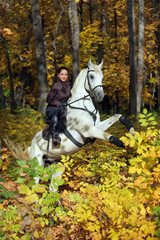 Young woman and her beautiful white arabian stallion rearing up in the autumn woods