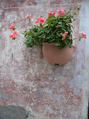a flowerpot hanged on a wall