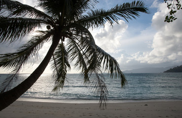 beach  nature  white sand, seawater Sai Beach Koh LIPE in Thaila