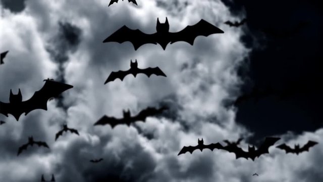 Flock of bats flying in mystical sky. Loop animation.