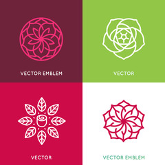 Vector logo design template - rose flower