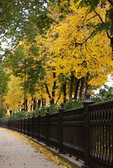 Naklejka premium Autumn in Moscow Kremlin. Color photo.