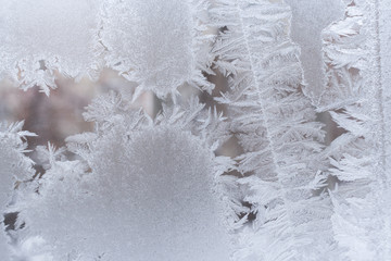 Close-up of gorgeous openwork frosty pattern on window glass.