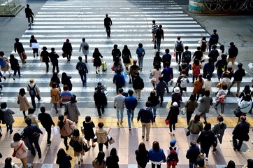 Naklejka premium 横断歩道