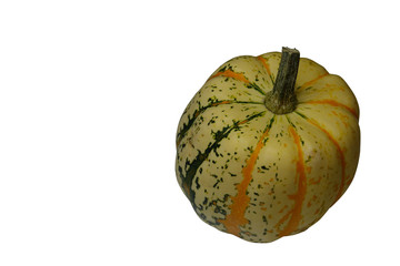 Kürbis - pumpkin