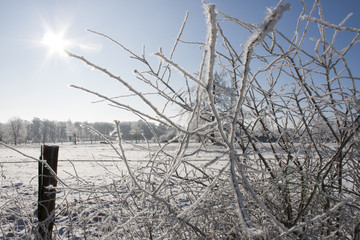 Schneebedeckte Winterwiese im Sonnenlicht