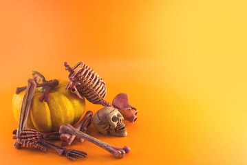 yellow pumpkin and skeleton skull bone dead body