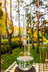 The forest alchemists. Some flasks and test tubes with gurgling