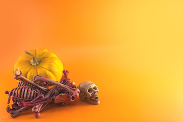 yellow pumpkin and skeleton skull bone dead