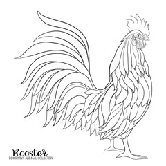 Rooster.