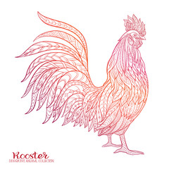  Rooster.