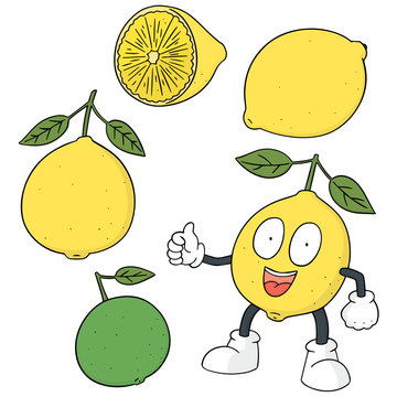 vector set of lemon