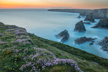Sunset at Bedruthan Steps with thrift