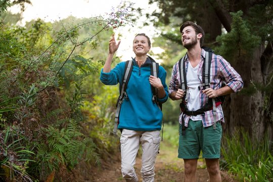 Hiker couple pointing at distance