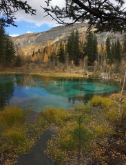 зеленое озеро в горах Алтая
