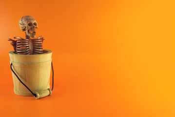 skeleton in the bucket