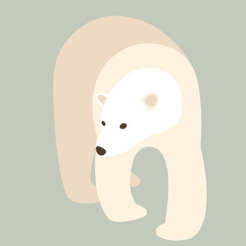 Polar bear adult vector illustration style Flat