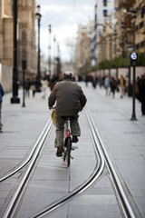 Cyclist riding on  the streetcar track, Constitution Avenue, Seville, Spain